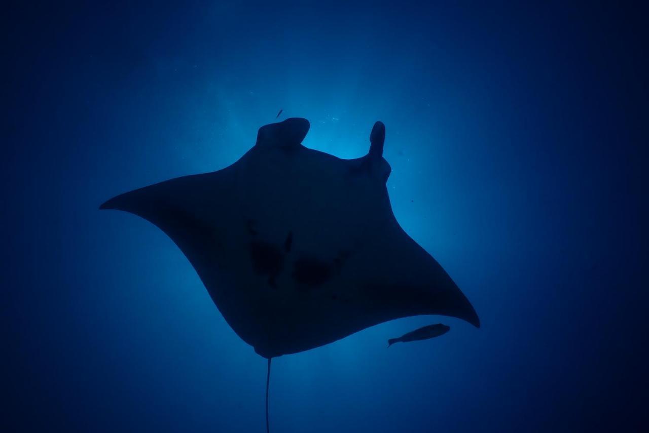 Coco Villa,Ukulhas מראה חיצוני תמונה