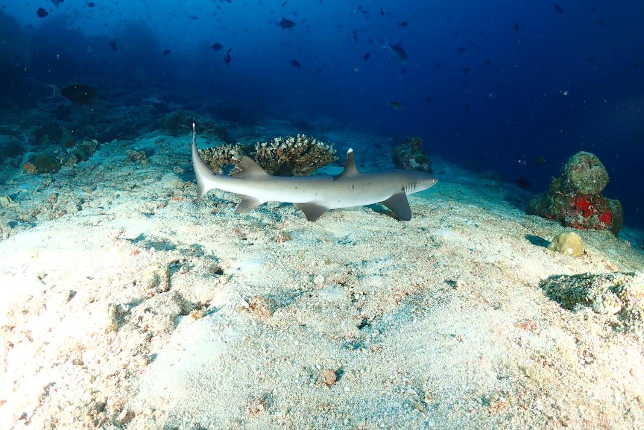 Coco Villa,Ukulhas מראה חיצוני תמונה